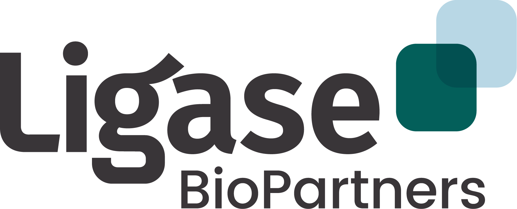 Ligase BioPartners